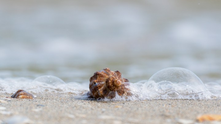 ELENITE, STATIUNEA UNDE MUNTELE SARUTA&nbsp;MAREA
